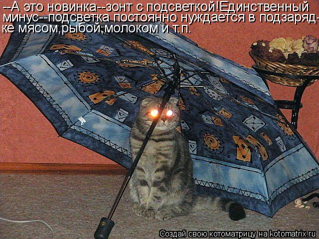Котоматрица: --А это новинка--зонт с подсветкой!Единственный минус--подсветка постоянно нуждается в подзаряд- ке мясом,рыбой,молоком и т.п.