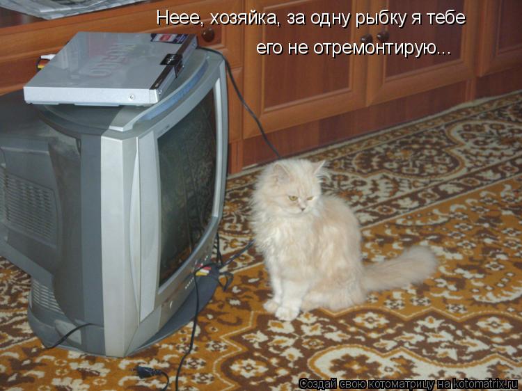 Котоматрица: Неее, хозяйка, за одну рыбку я тебе его не отремонтирую...