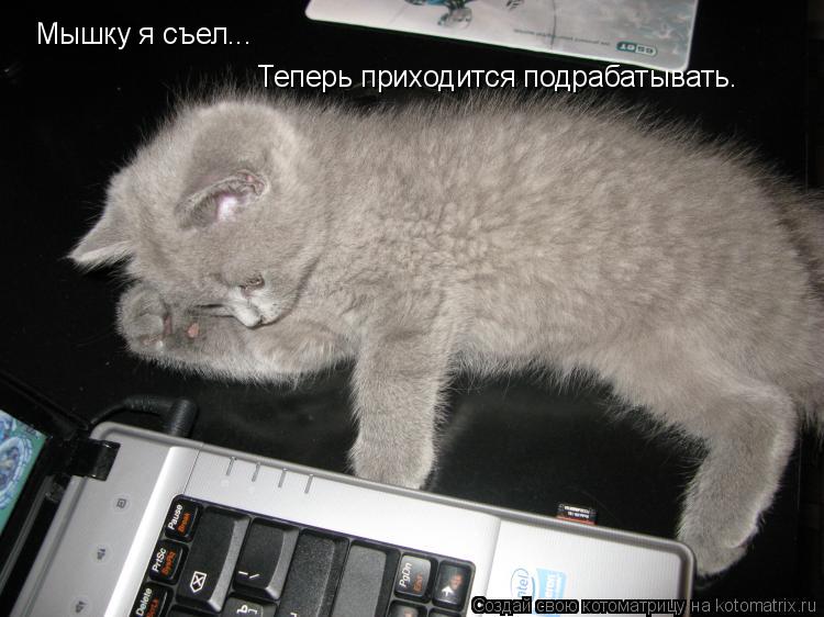 Котоматрица: Мышку я съел... Теперь приходится подрабатывать.