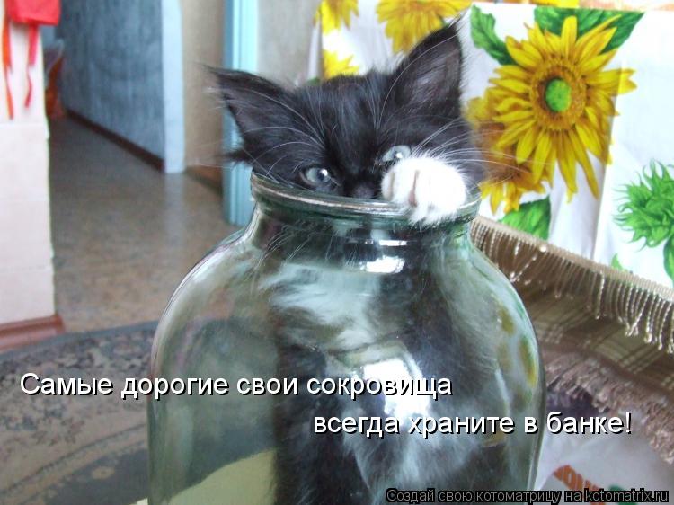 Котоматрица: Самые дорогие свои сокровища всегда храните в банке!