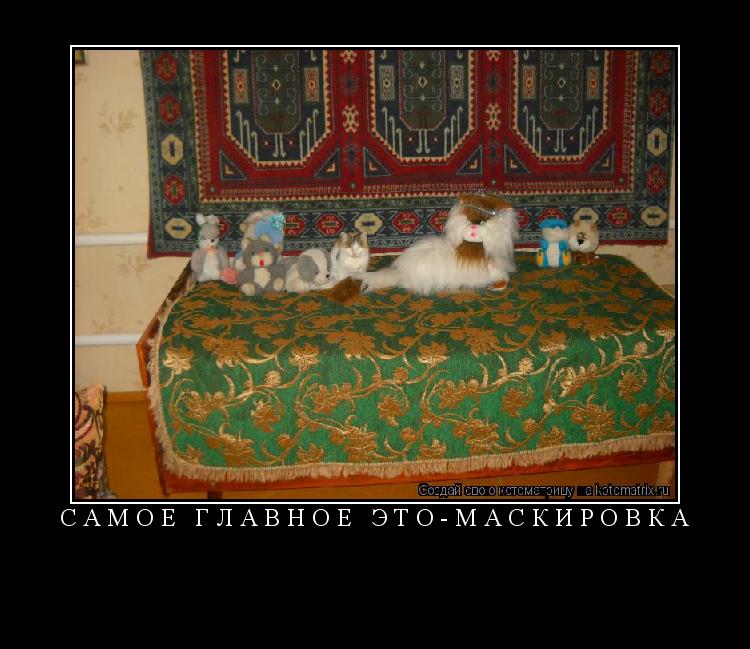 Котоматрица: САМОЕ ГЛАВНОЕ ЭТО-МАСКИРОВКА 