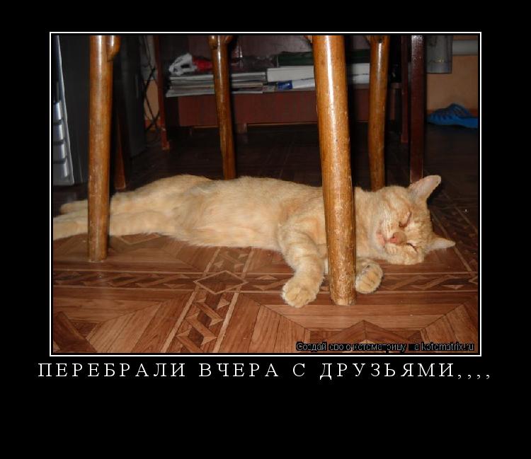 Котоматрица: ПЕРЕБРАЛИ ВЧЕРА С ДРУЗЬЯМИ,,,, 