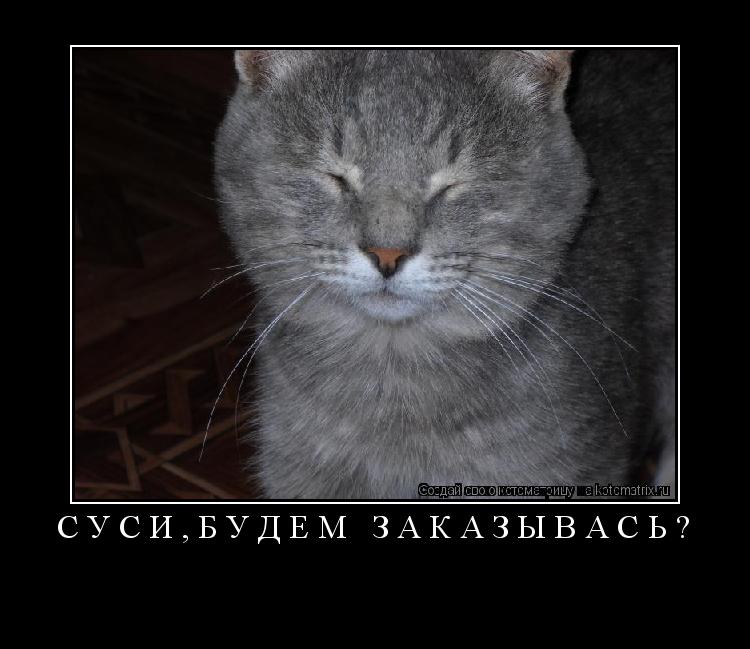 СУСИ,БУДЕМ ЗАКАЗЫВАСЬ? ... Котоматрица: СУСИ,БУДЕМ ЗАКАЗЫВАСЬ?