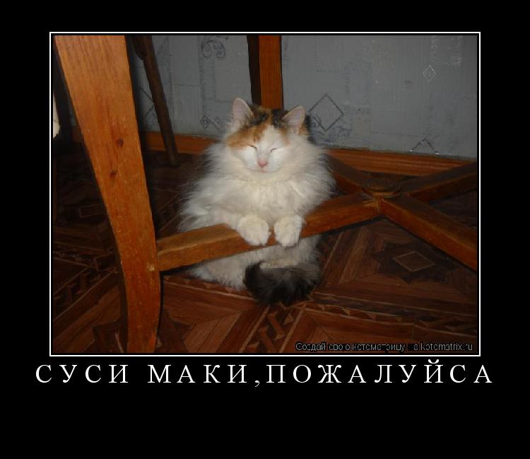 Котоматрица: СУСИ МАКИ,ПОЖАЛУЙСА 