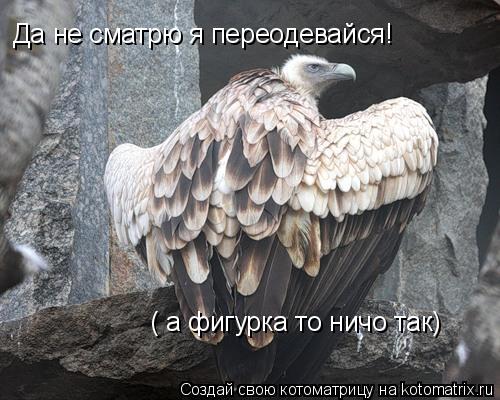 Да не сматрю я переодевайся! ( а фигурка то ничо так)... Котоматрица: Да не сматрю я переодевайся! ( а фигурка то ничо так)