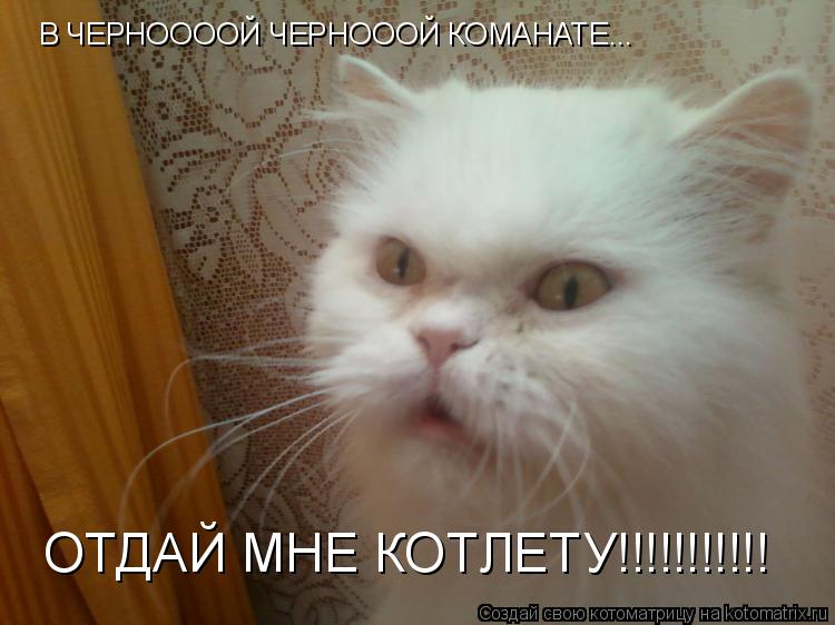 В ЧЕРНООООЙ ЧЕРНОООЙ КОМАНАТЕ... ОТДАЙ МНЕ КОТЛЕТУ!!!!!!!!!!!... Котоматрица: В ЧЕРНООООЙ ЧЕРНОООЙ КОМАНАТЕ... ОТДАЙ МНЕ КОТЛЕТУ!!!!!!!!!!!