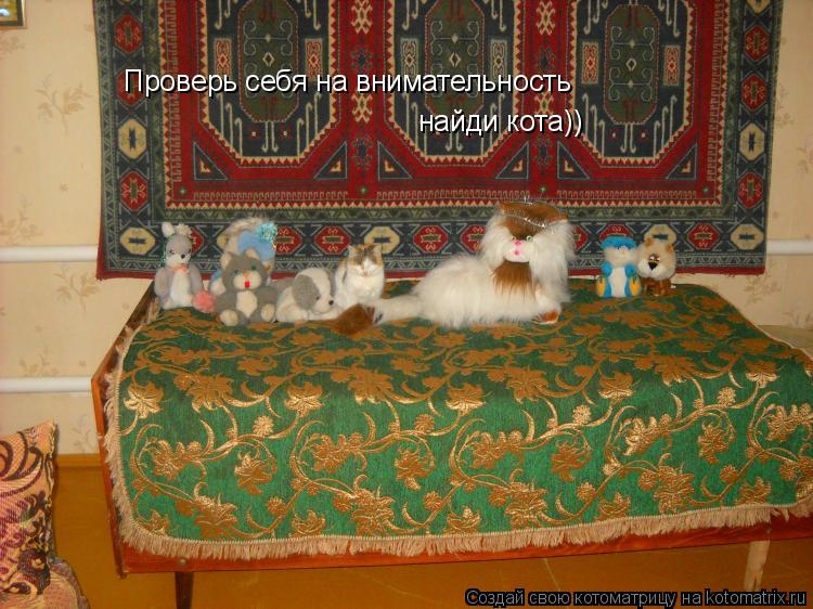 Проверь себя на внимательность найди кота))... Котоматрица: Проверь себя на внимательность найди кота))