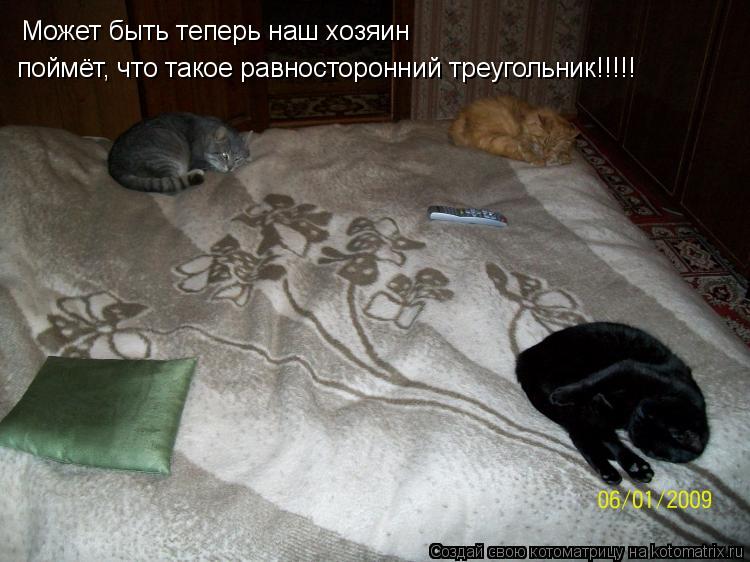 Может быть теперь наш хозяин поймёт, что такое равносторонний треугольник!!!!!... Котоматрица: Может быть теперь наш хозяин поймёт, что такое равносторонний треугольник!!!!!