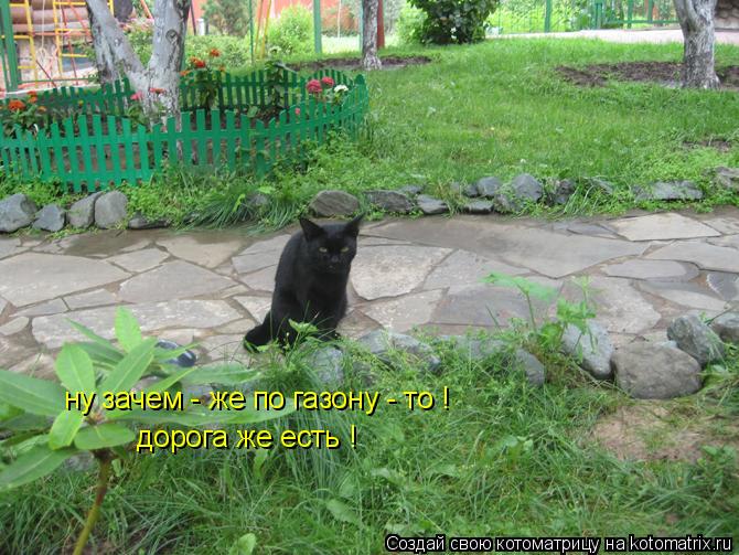 ну зачем - же по газону - то ! дорога же есть !... Котоматрица: ну зачем - же по газону - то ! дорога же есть !