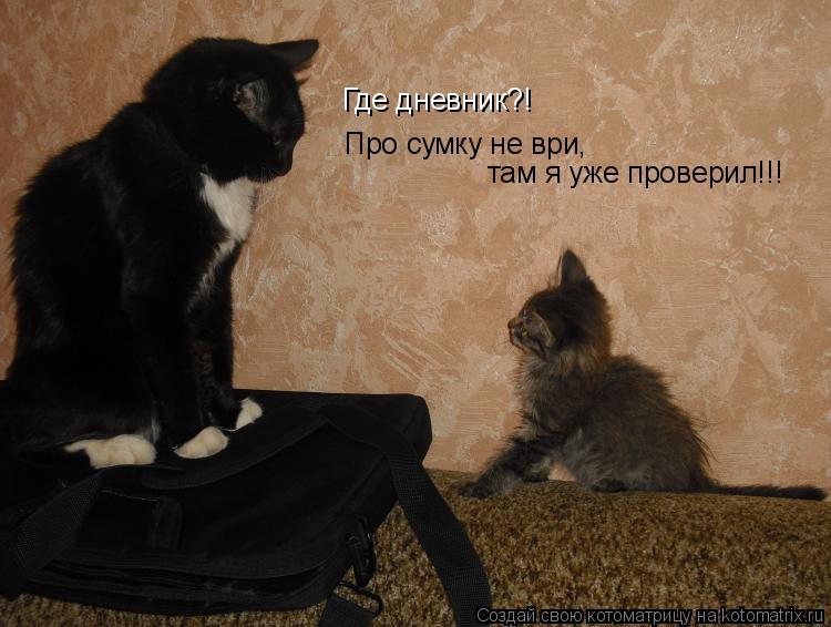 Где дневник?! Про сумку не ври, там я уже проверил!!!... Котоматрица: Где дневник?! Про сумку не ври, там я уже проверил!!!