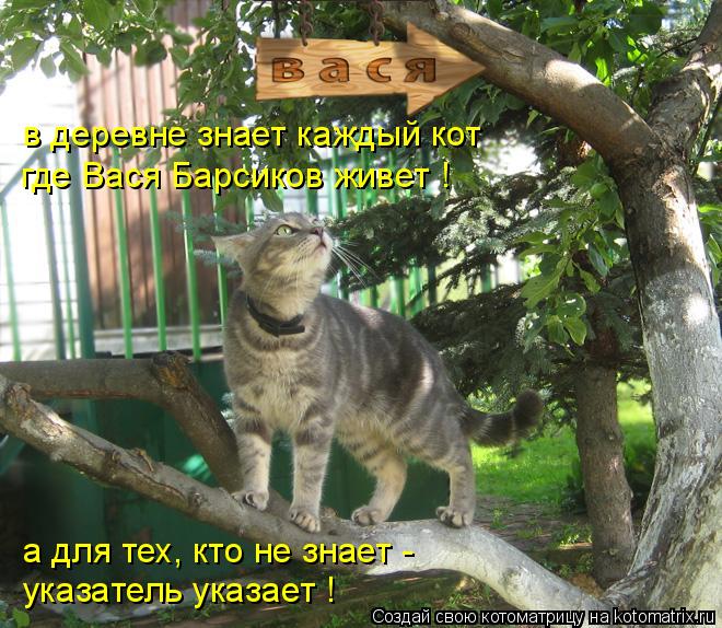 в деревне знает каждый кот а для тех, кто не знает - указатель указает ! где Вася Барсиков живет !... Котоматрица: в деревне знает каждый кот а для тех, кто не знает - указатель указает ! где Вася Барсиков живет !