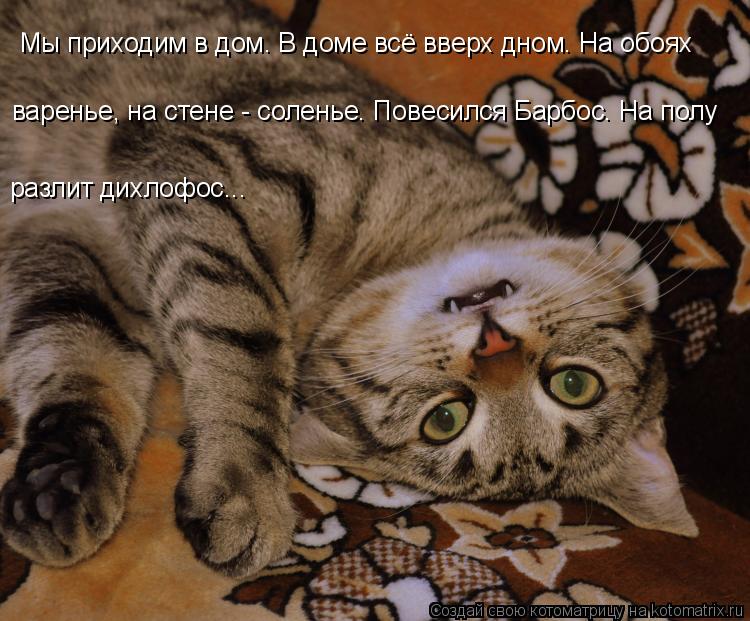 варенье, на стене - соленье. Повесился Барбос. На полу разлит дихлофос... Мы приходим в дом. В доме ... Котоматрица: варенье, на стене - соленье. Повесился Барбос. На полу разлит дихлофос... Мы приходим в дом. В доме всё вверх дном. На обоях