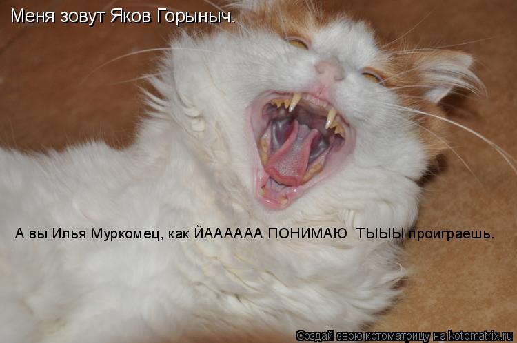 Меня зовут Яков Горыныч. А вы Илья Муркомец, как ЙАААААА ПОНИМАЮ ТЫЫЫ проиграешь.... Котоматрица: Меня зовут Яков Горыныч. А вы Илья Муркомец, как ЙАААААА ПОНИМАЮ ТЫЫЫ проиграешь.