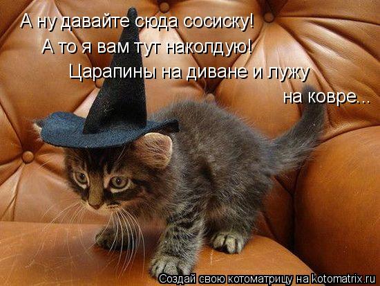А ну давайте сюда сосиску! А то я вам тут наколдую! Царапины на диване и лужу на ковре...... Котоматрица: А ну давайте сюда сосиску! А то я вам тут наколдую! Царапины на диване и лужу на ковре...