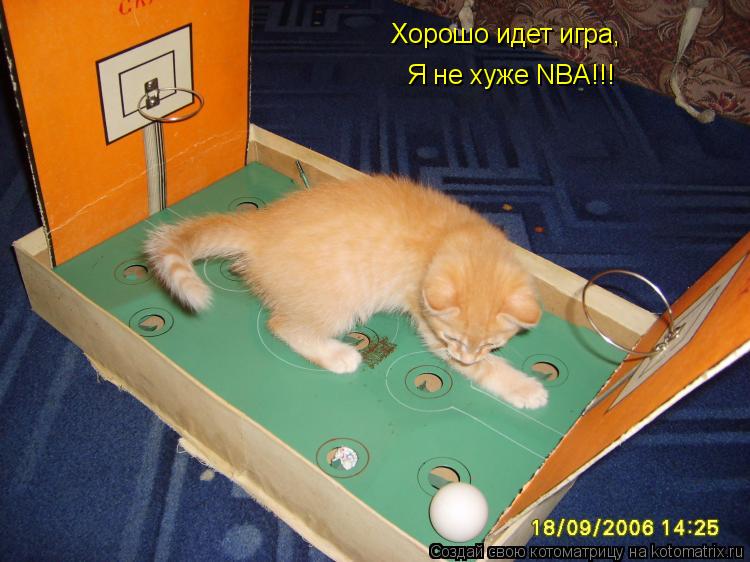 Хорошо идет игра, Я не хуже NBA!!!... Котоматрица: Хорошо идет игра, Я не хуже NBA!!!