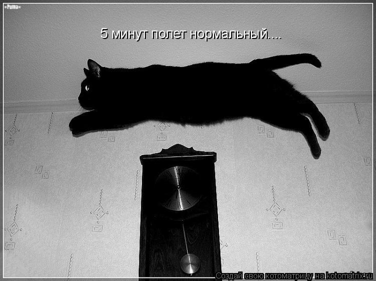 5 минут полет нормальный....... Котоматрица: 5 минут полет нормальный....
