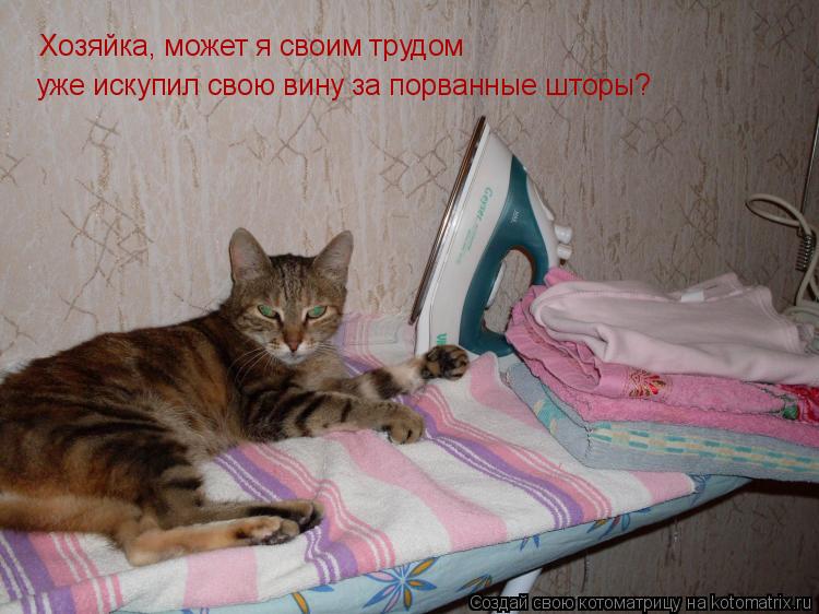 Хозяйка, может я своим трудом уже искупил свою вину за порванные шторы?... Котоматрица: Хозяйка, может я своим трудом уже искупил свою вину за порванные шторы?