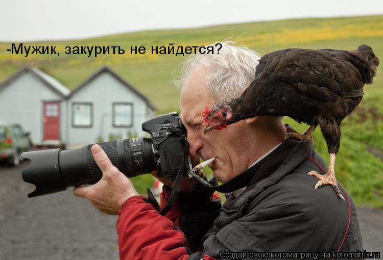 -Мужик, закурить не найдется?... Котоматрица: -Мужик, закурить не найдется?