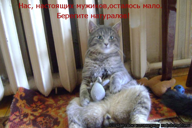 Нас, настоящих мужиков,осталось мало. Берегите натуралов!... Котоматрица: Нас, настоящих мужиков,осталось мало. Берегите натуралов!