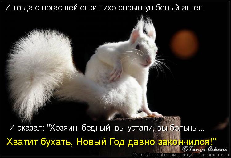 И тогда с погасшей елки тихо спрыгнул белый ангел И сказал: "Хозяин, бедный, вы устали, вы больны... ... Котоматрица: И тогда с погасшей елки тихо спрыгнул белый ангел И сказал: "Хозяин, бедный, вы устали, вы больны... Хватит бухать, Новый Год давно закончился!"