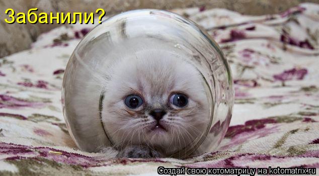 Забанили?... Котоматрица: Забанили?