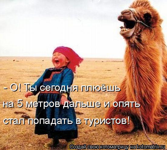 - О! Ты сегодня плюёшь на 5 метров дальше и опять стал попадать в туристов!... Котоматрица: - О! Ты сегодня плюёшь на 5 метров дальше и опять стал попадать в туристов!