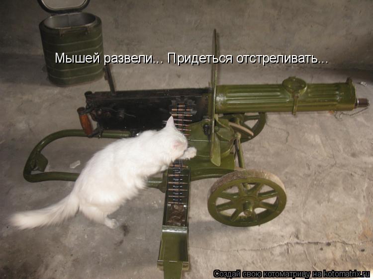Мышей развели... Придеться отстреливать...... Котоматрица: Мышей развели... Придеться отстреливать...
