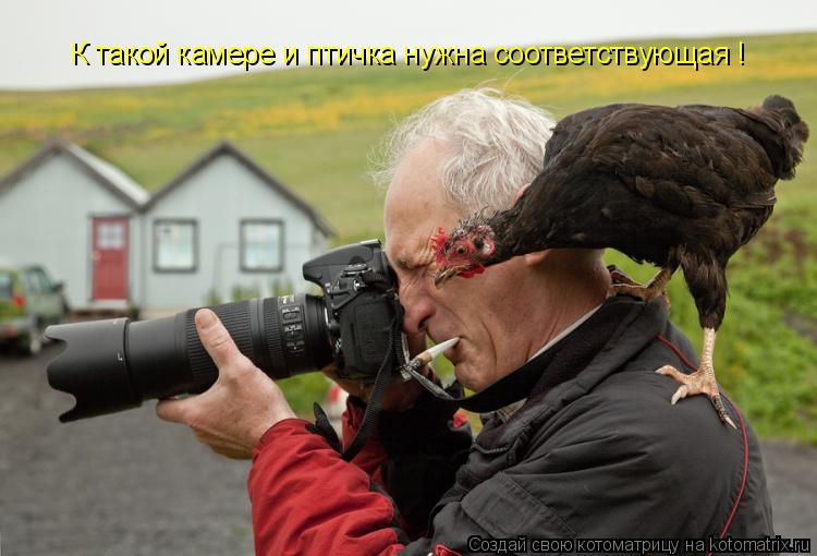 К такой камере и птичка нужна соответствующая !... Котоматрица: К такой камере и птичка нужна соответствующая !
