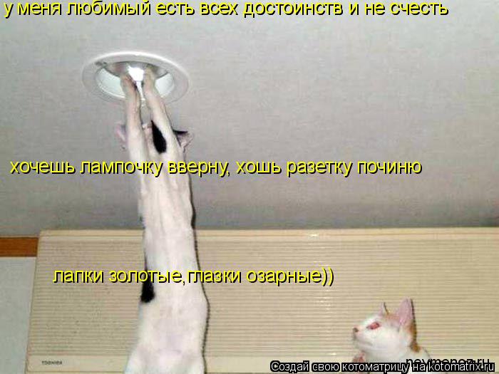у меня любимый есть всех достоинств и не счесть есть всех достоинств и не счесть хочешь лампочку ввер... Котоматрица: у меня любимый есть всех достоинств и не счесть есть всех достоинств и не счесть хочешь лампочку вверну, хошь разетку починю лапки золотые,