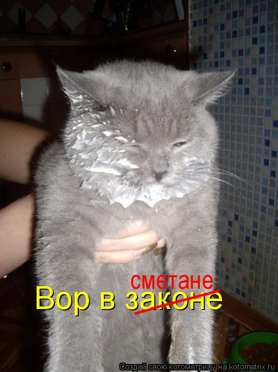 Вор в законе _____ сметане... Котоматрица: Вор в законе _____ сметане