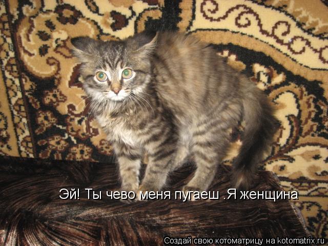 Эй! Ты чево меня пугаеш .Я женщина... Котоматрица: Эй! Ты чево меня пугаеш .Я женщина