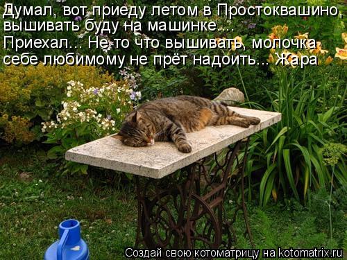 Думал, вот приеду летом в Простоквашино, вышивать буду на машинке.... Приехал... Не то что вышивать, ... Котоматрица: Думал, вот приеду летом в Простоквашино, вышивать буду на машинке.... Приехал... Не то что вышивать, молочка себе любимому не прёт надоить... Жа