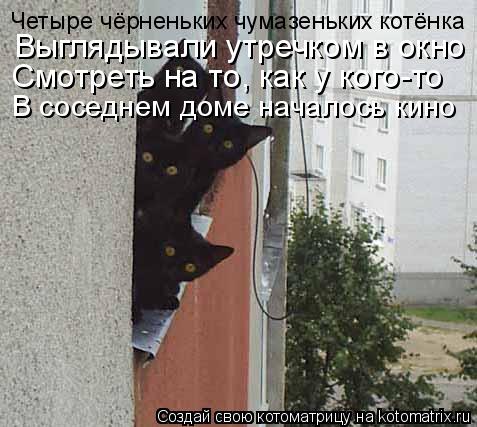Четыре чёрненьких чумазеньких котёнка Выглядывали утречком в окно Смотреть на то, как у кого-то В сос... Котоматрица: Четыре чёрненьких чумазеньких котёнка Выглядывали утречком в окно Смотреть на то, как у кого-то В соседнем доме началось кино