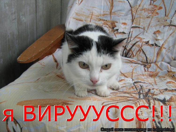 я ВИРУУУССС!!! я ВИРУУУССС!!!... Котоматрица: я ВИРУУУССС!!! я ВИРУУУССС!!!