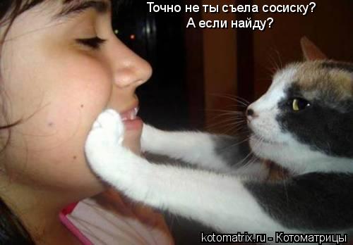 Точно не ты съела сосиску? А если найду?... Котоматрица: Точно не ты съела сосиску? А если найду?