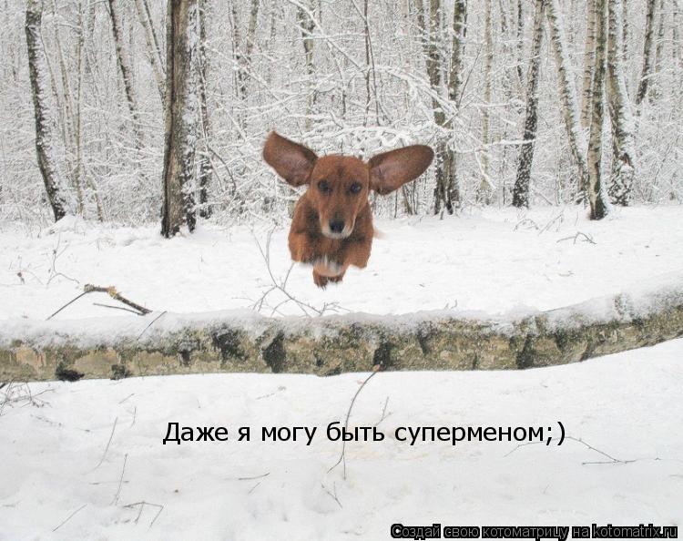 Даже я могу быть суперменом;)... Котоматрица: Даже я могу быть суперменом;)