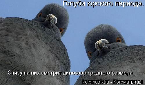 Голуби юрского периода. Снизу на них смотрит динозавр среднего размера... Котоматрица: Голуби юрского периода. Снизу на них смотрит динозавр среднего размера