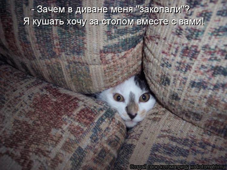 Я кушать хочу за столом вместе с вами! - Зачем в диване меня "закопали"?... Котоматрица: Я кушать хочу за столом вместе с вами! - Зачем в диване меня "закопали"?