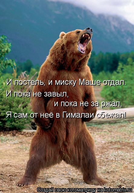 И постель, и миску Маше отдал. И пока не завыл, и пока не за ржал, Я сам от неё в Гималаи сбежал!... Котоматрица: И постель, и миску Маше отдал. И пока не завыл, и пока не за ржал, Я сам от неё в Гималаи сбежал!