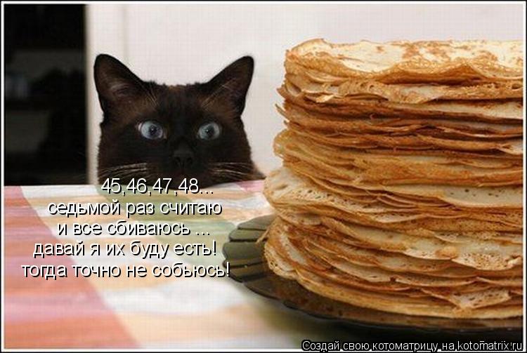 45,46,47,48... седьмой раз считаю и все сбиваюсь ... давай я их буду есть! тогда точно не собьюсь!... Котоматрица: 45,46,47,48... седьмой раз считаю и все сбиваюсь ... давай я их буду есть! тогда точно не собьюсь!