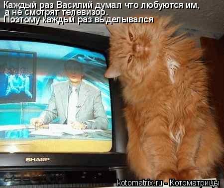 Котоматрица: Каждый раз Василий думал что любуются им,  а не смотрят телевизор. Поэтому каждый раз выделывался