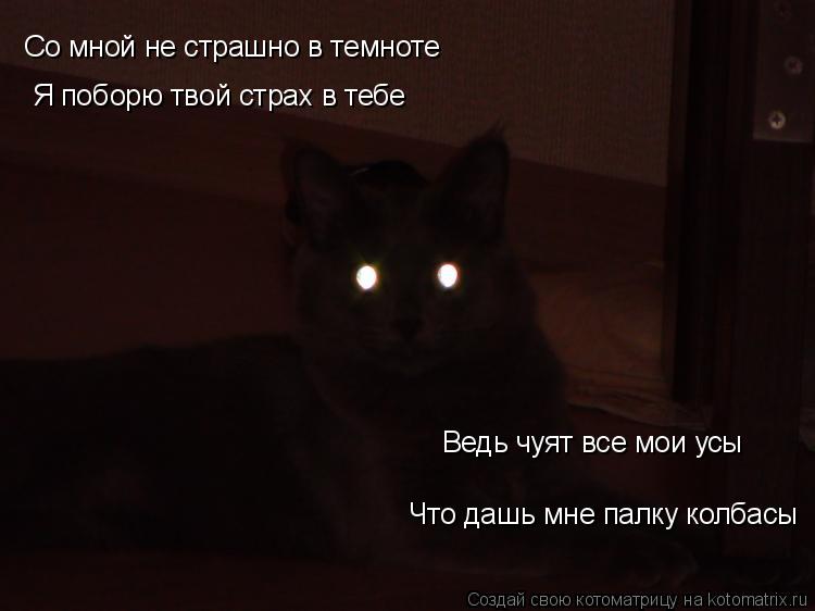 Со мной не страшно в темноте Со мной не страшно в темноте Я поборю твой страх в тебе Ведь чуят все мо... Котоматрица: Со мной не страшно в темноте Со мной не страшно в темноте Я поборю твой страх в тебе Ведь чуят все мои усы Что дашь мне палку колбасы