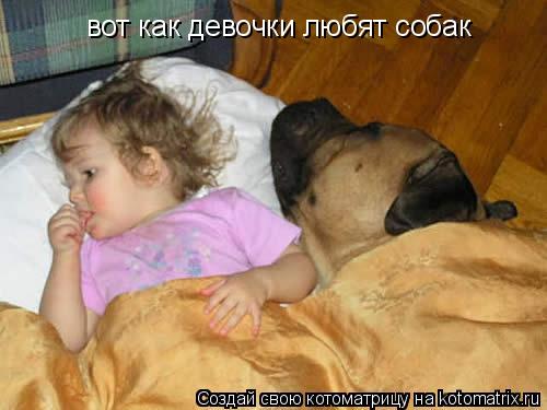 вот как девочки любят собак... Котоматрица: вот как девочки любят собак