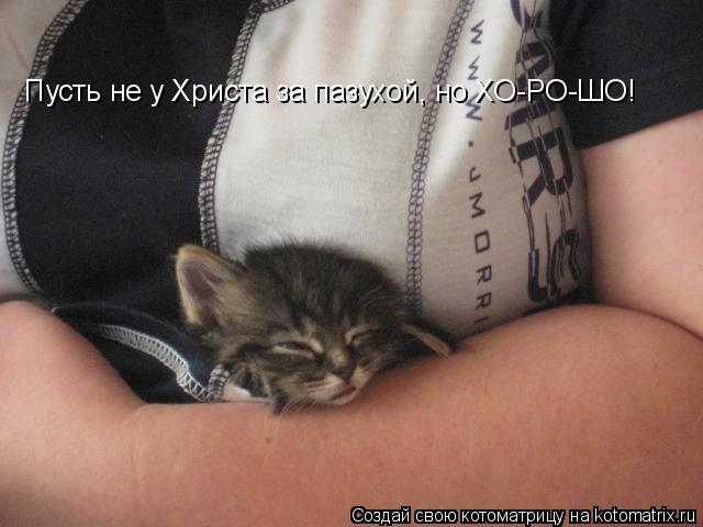 Пусть не у Христа за пазухой, но ХО-РО-ШО!... Котоматрица: Пусть не у Христа за пазухой, но ХО-РО-ШО!
