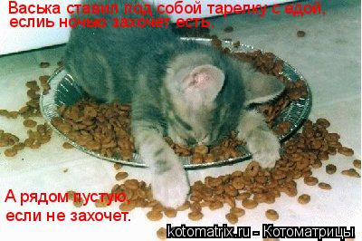 Васька ставил под собой тарелку с едой, еслиь ночью захочет есть. А рядом пустую, если не захочет.... Котоматрица: Васька ставил под собой тарелку с едой, еслиь ночью захочет есть. А рядом пустую, если не захочет.