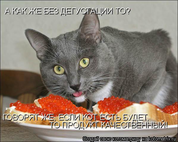 А КАК ЖЕ БЕЗ ДЕГУСТАЦИИ ТО? ГОВОРЯТ ЖЕ, ЕСЛИ КОТ ЕСТЬ БУДЕТ, ТО ПРОДУКТ КАЧЕСТВЕННЫЙ!... Котоматрица: А КАК ЖЕ БЕЗ ДЕГУСТАЦИИ ТО? ГОВОРЯТ ЖЕ, ЕСЛИ КОТ ЕСТЬ БУДЕТ, ТО ПРОДУКТ КАЧЕСТВЕННЫЙ!