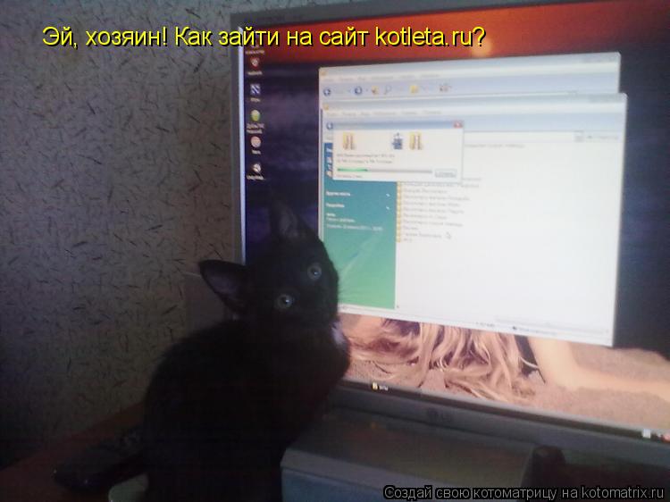 Эй, хозяин! Как зайти на сайт kotletа.ru?... Котоматрица: Эй, хозяин! Как зайти на сайт kotletа.ru?