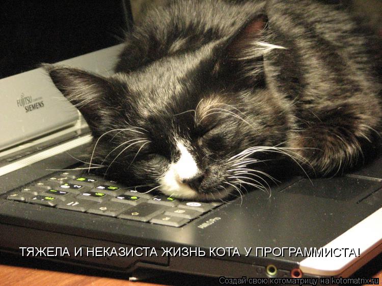ТЯЖЕЛА И НЕКАЗИСТА ЖИЗНЬ КОТА У ПРОГРАММИСТА!... Котоматрица: ТЯЖЕЛА И НЕКАЗИСТА ЖИЗНЬ КОТА У ПРОГРАММИСТА!