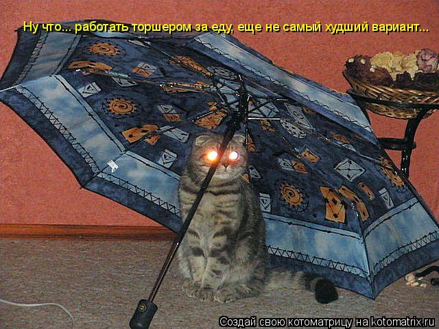 Ну что... работать торшером за еду, еще не самый худший вариант...... Котоматрица: Ну что... работать торшером за еду, еще не самый худший вариант...