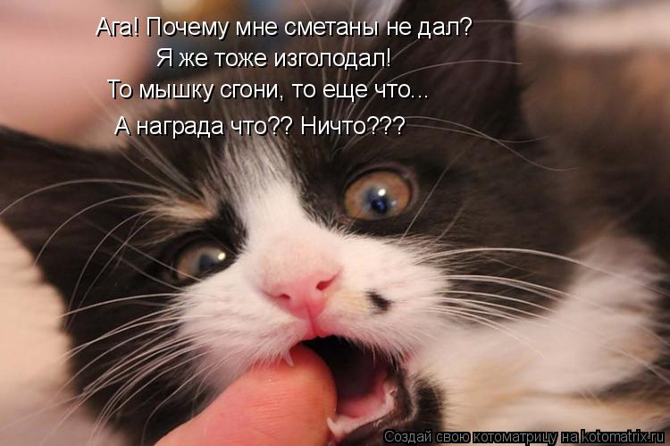 Ага! Почему мне сметаны не дал? Я же тоже изголодал! То мышку сгони, то еще что... А награда что?? Ни... Котоматрица: Ага! Почему мне сметаны не дал? Я же тоже изголодал! То мышку сгони, то еще что... А награда что?? Ничто??? Сам теперь мышек лови